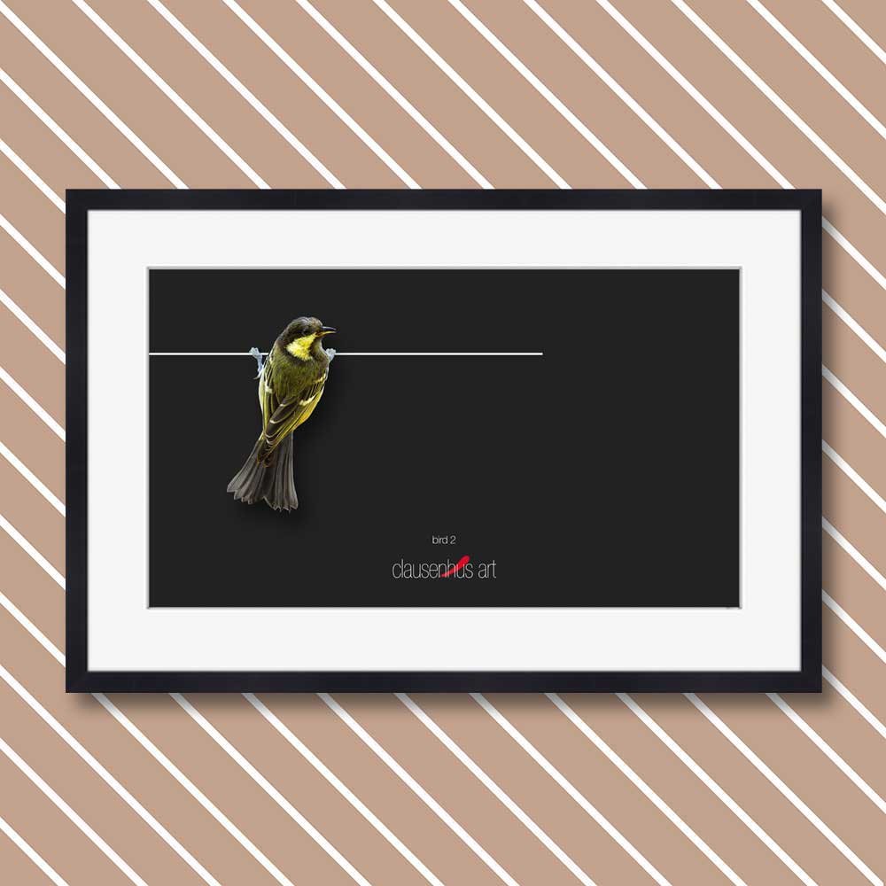 bird-2.jpg
