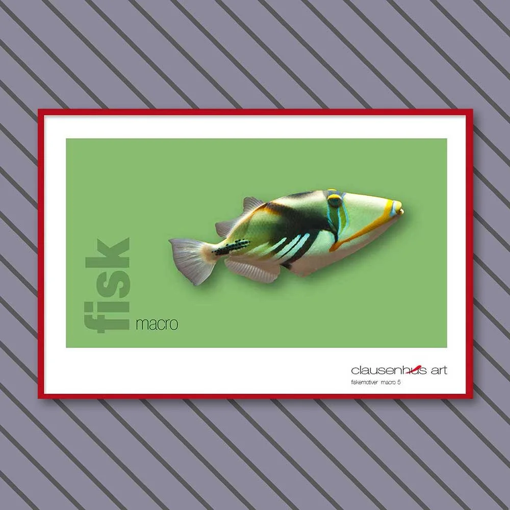 fiskemotiv-5-copy.jpg
