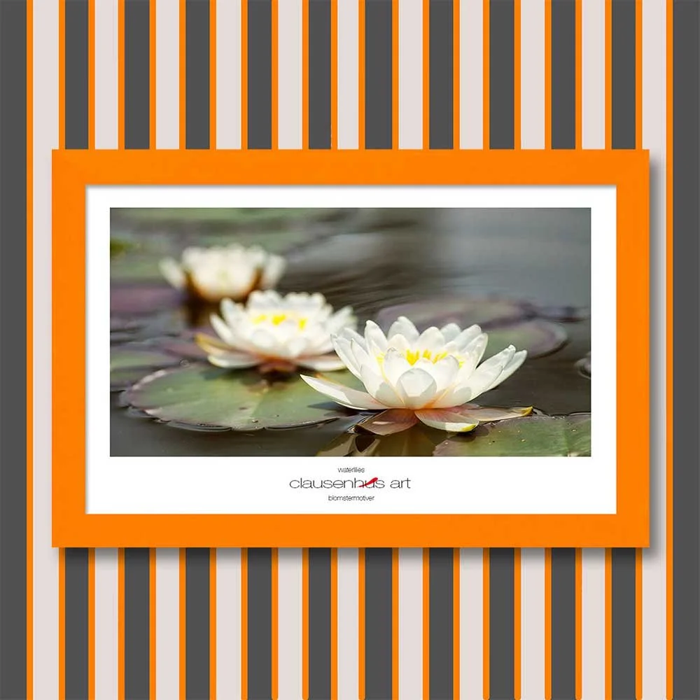 waterlilies-copy.jpg