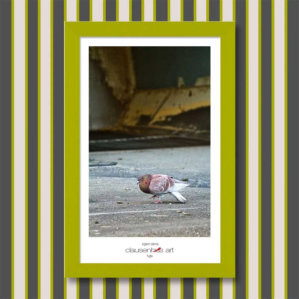 pigeon-dance-copy.jpg