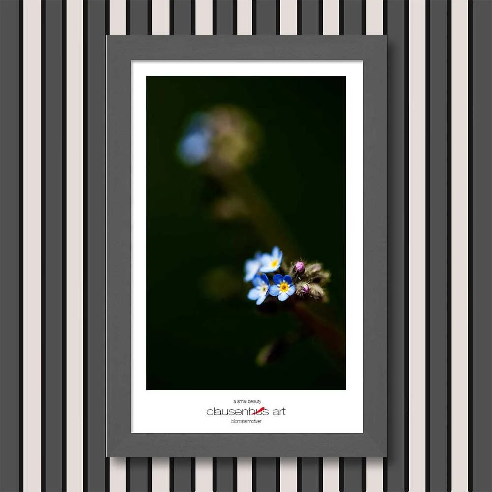 a-small-beauty-copy.jpg