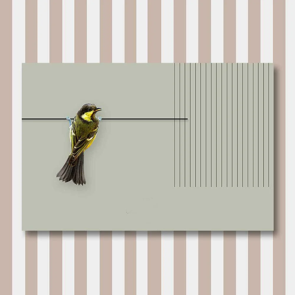 bird 7.jpg