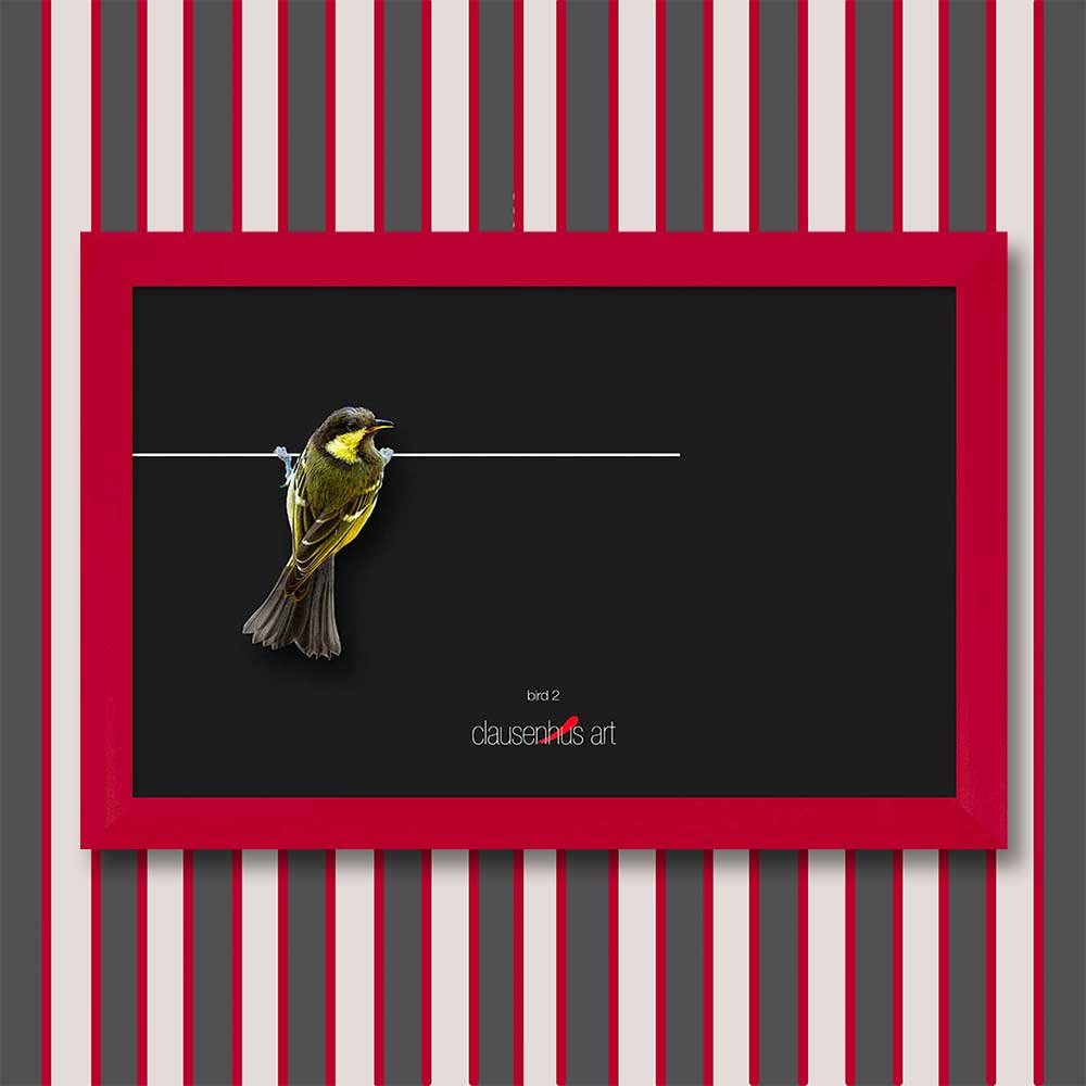 bird-2-copy.jpg