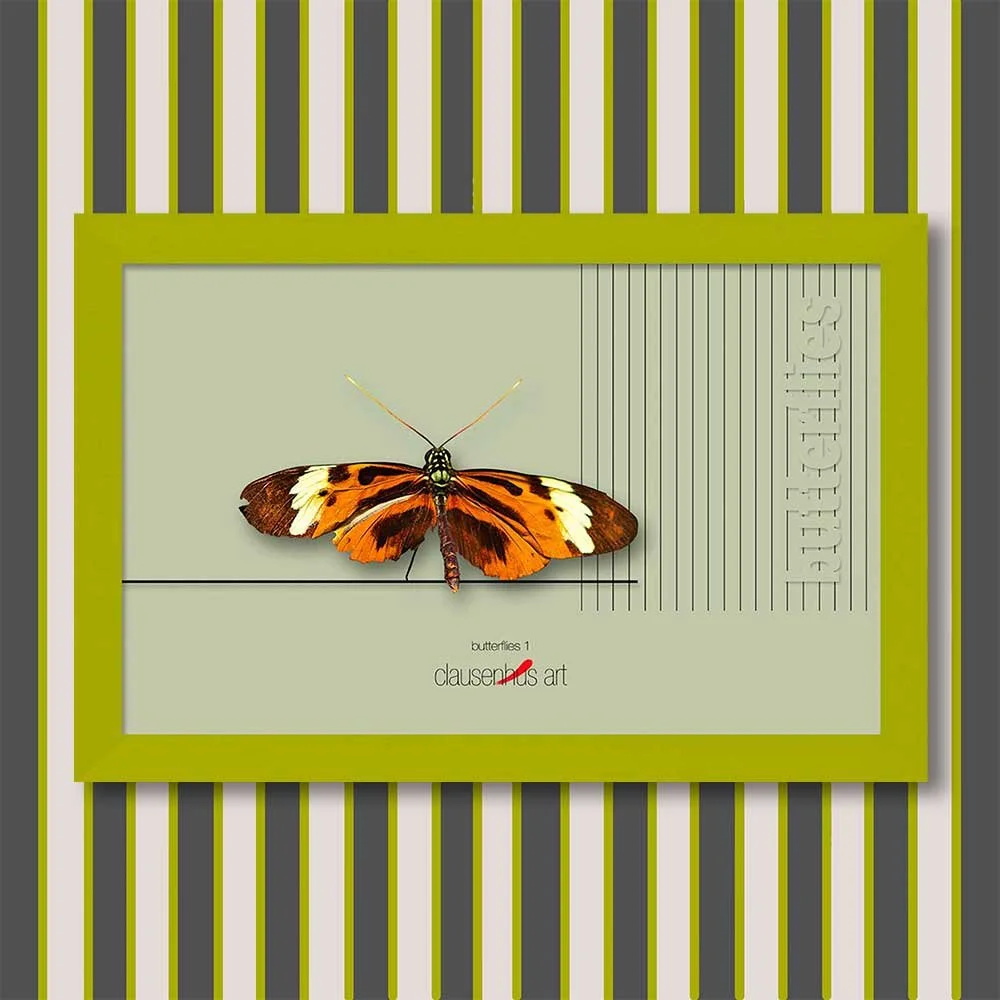 butterflies-1-copy.jpg