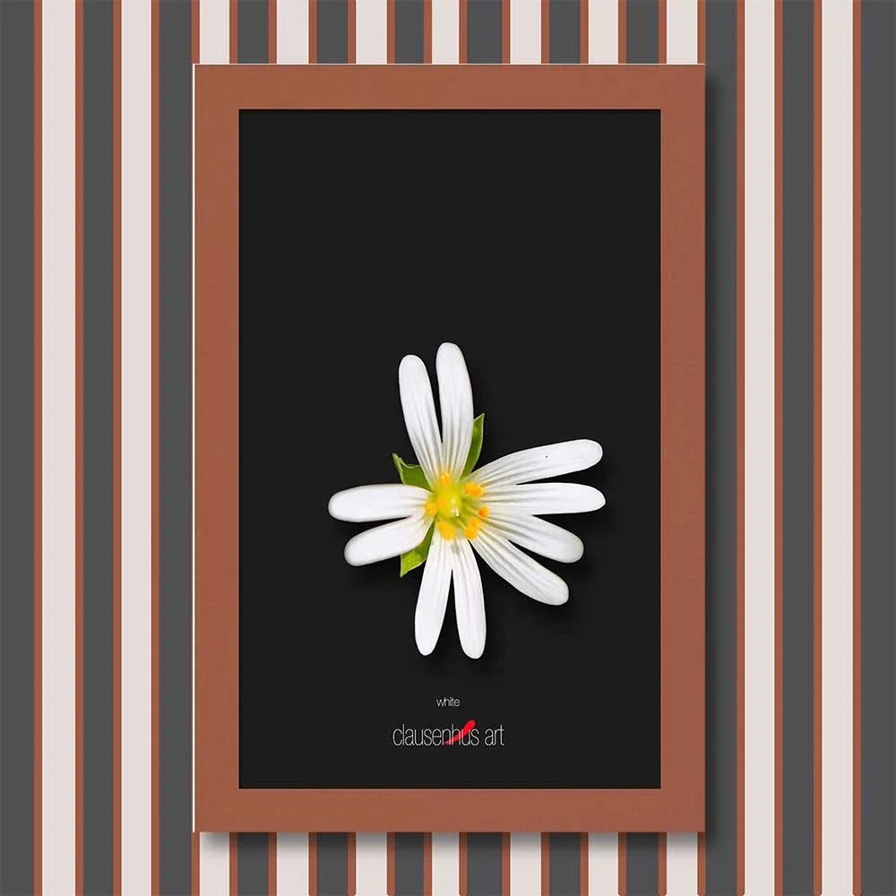 white-copy.jpg