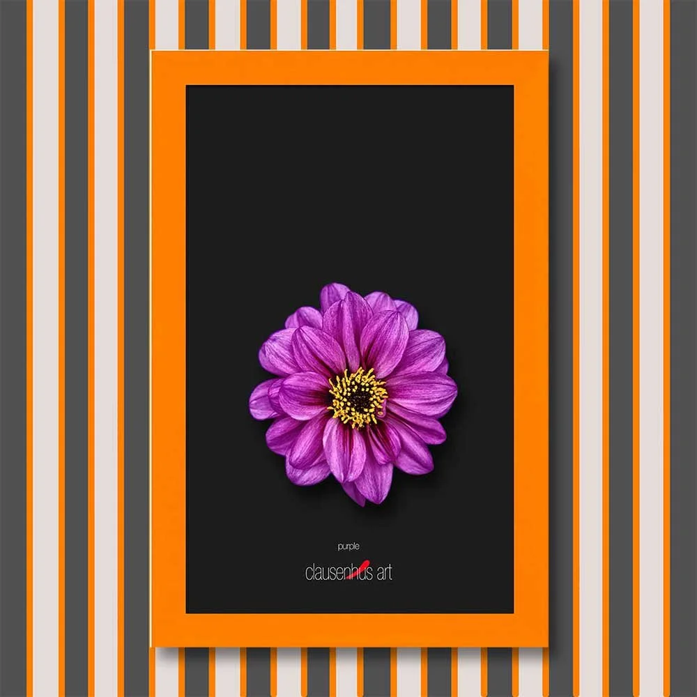 purple-copy.jpg