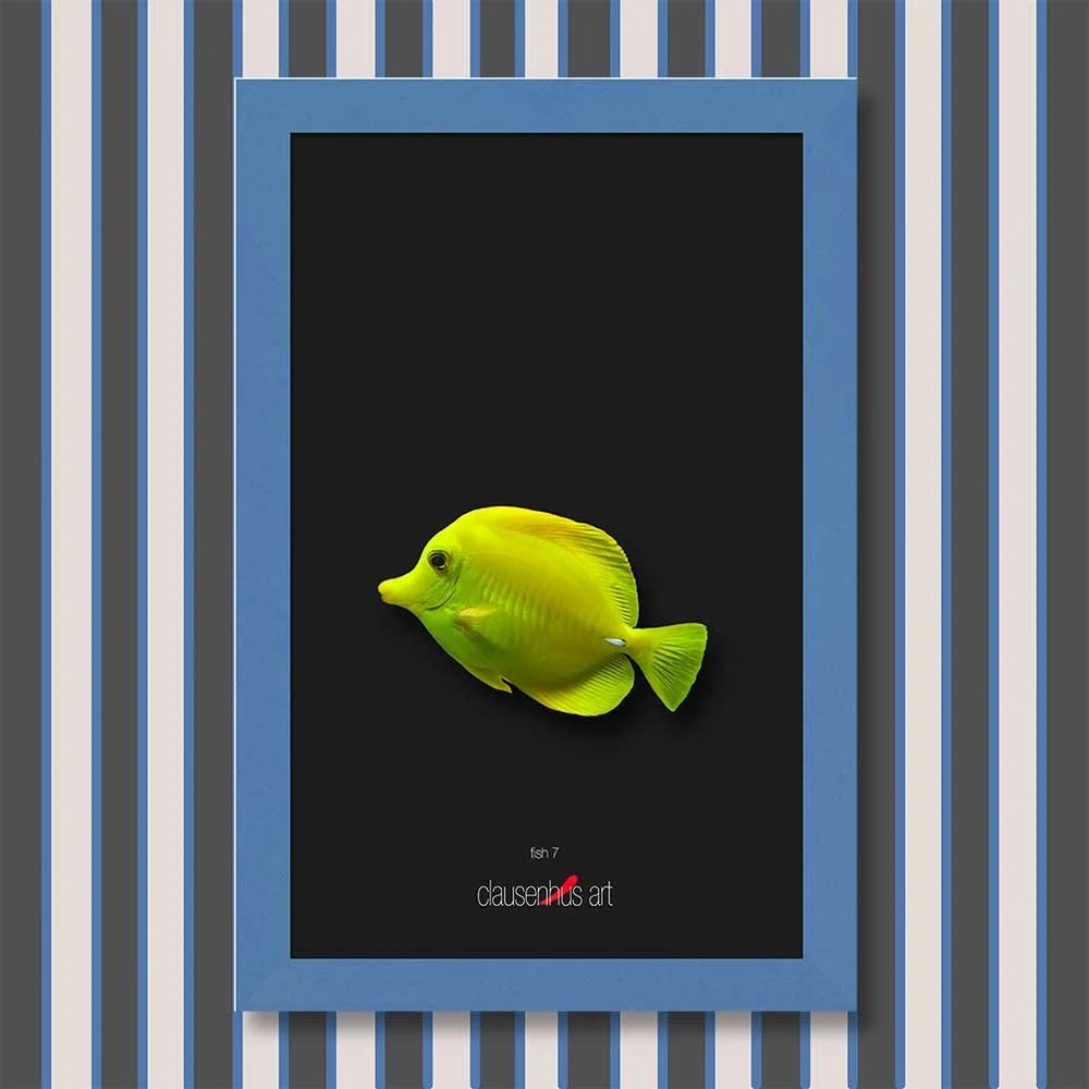 fish-7-copy.jpg