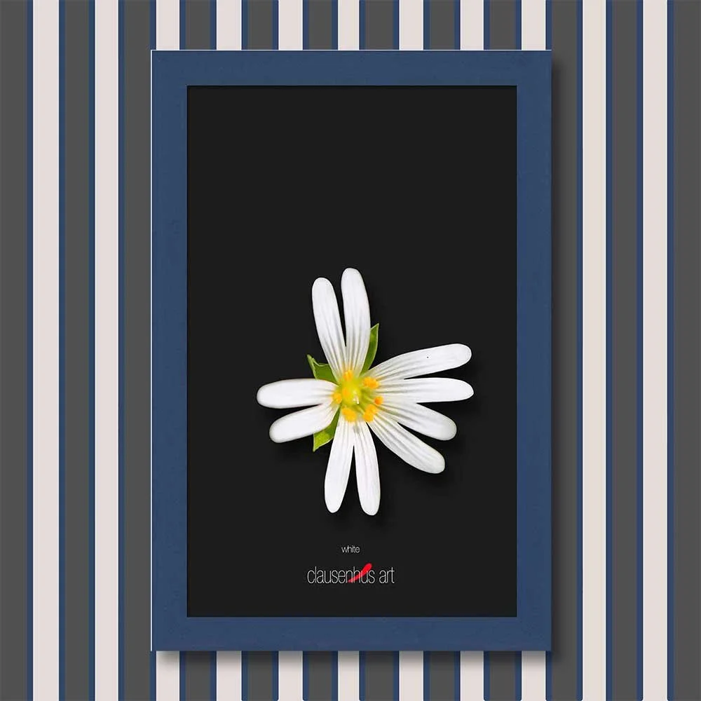 white-copy.jpg