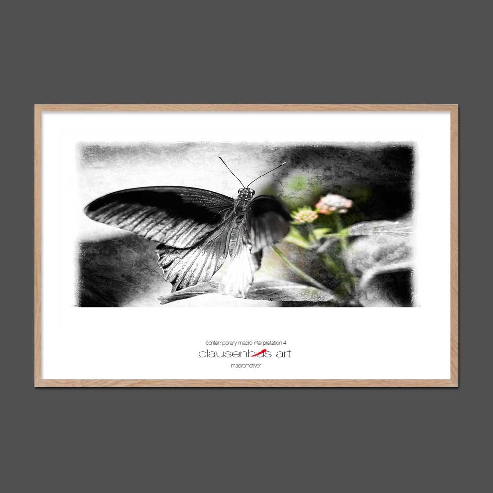contemporary-macro-interpretation-4-copy.jpg