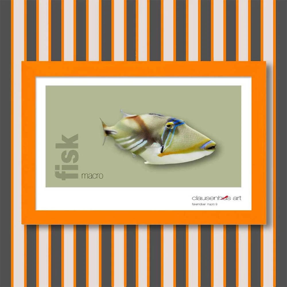 fiskemotiv-9-copy.jpg