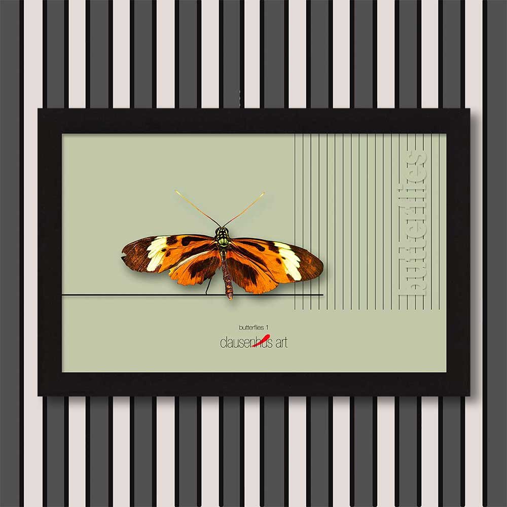 butterflies-1-copy.jpg