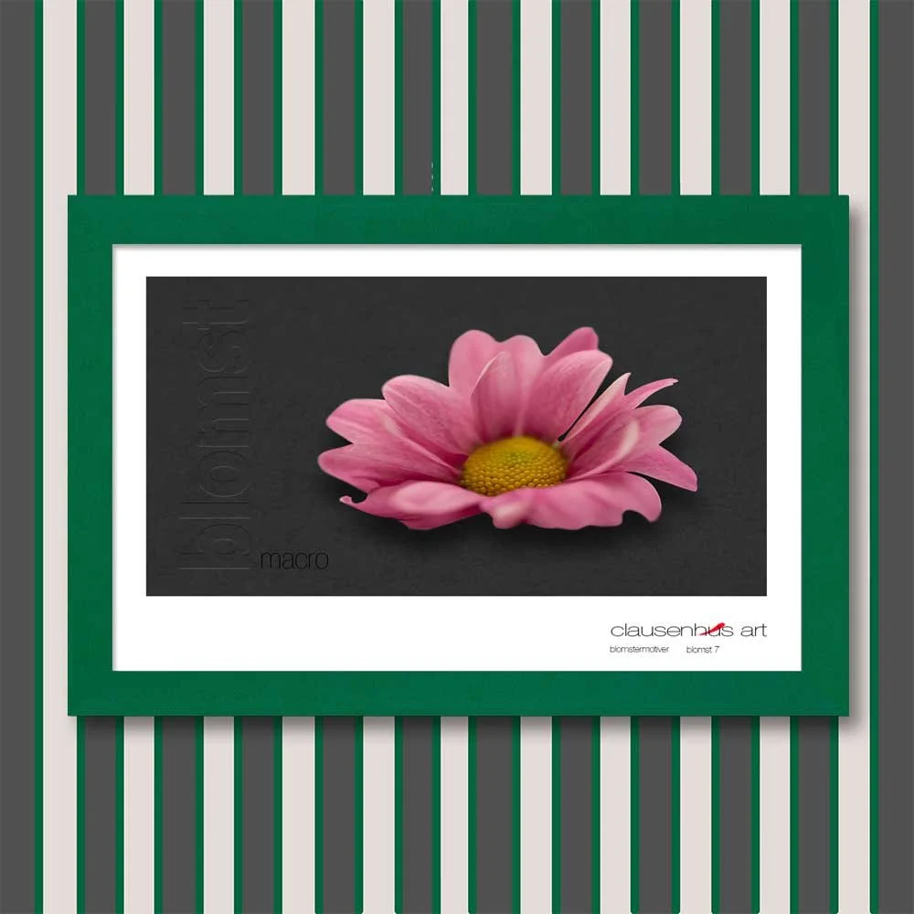 blomst-7.jpg