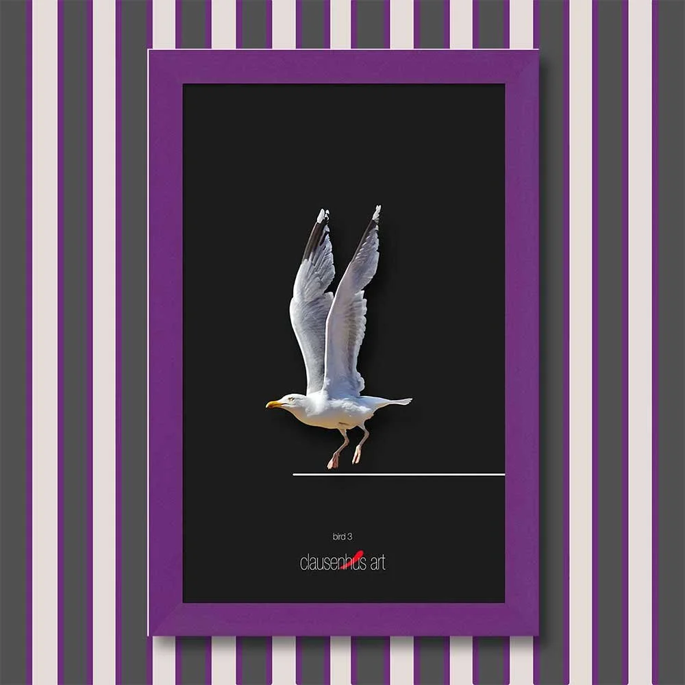 bird-3-copy.jpg