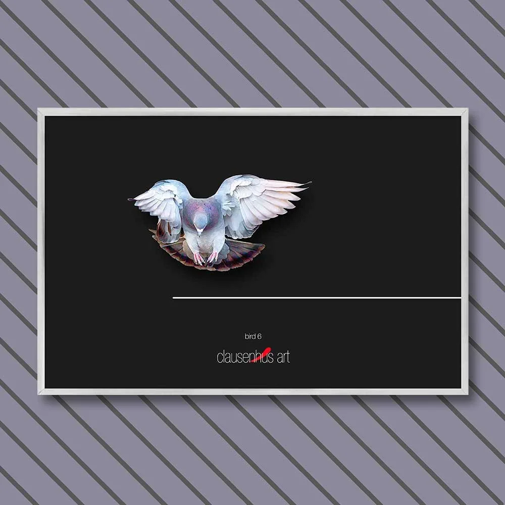 bird-6-copy.jpg