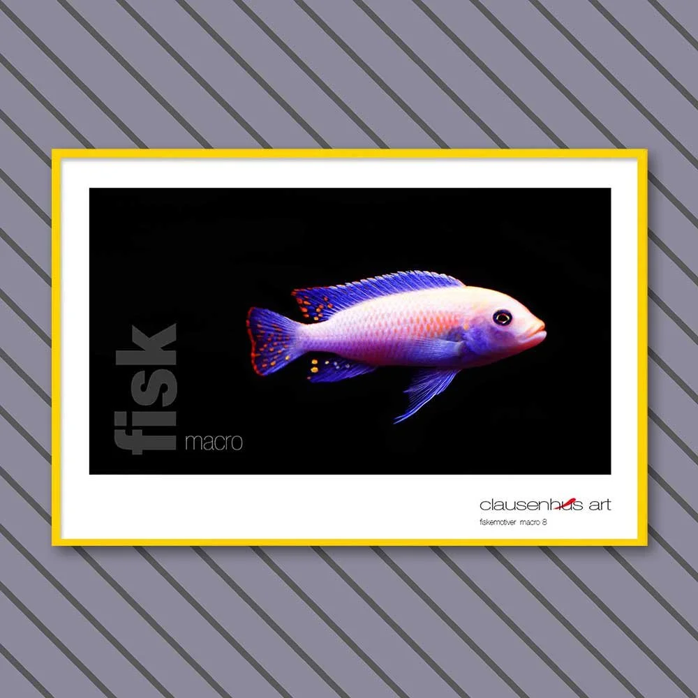 fiskemotiv-8-copy.jpg