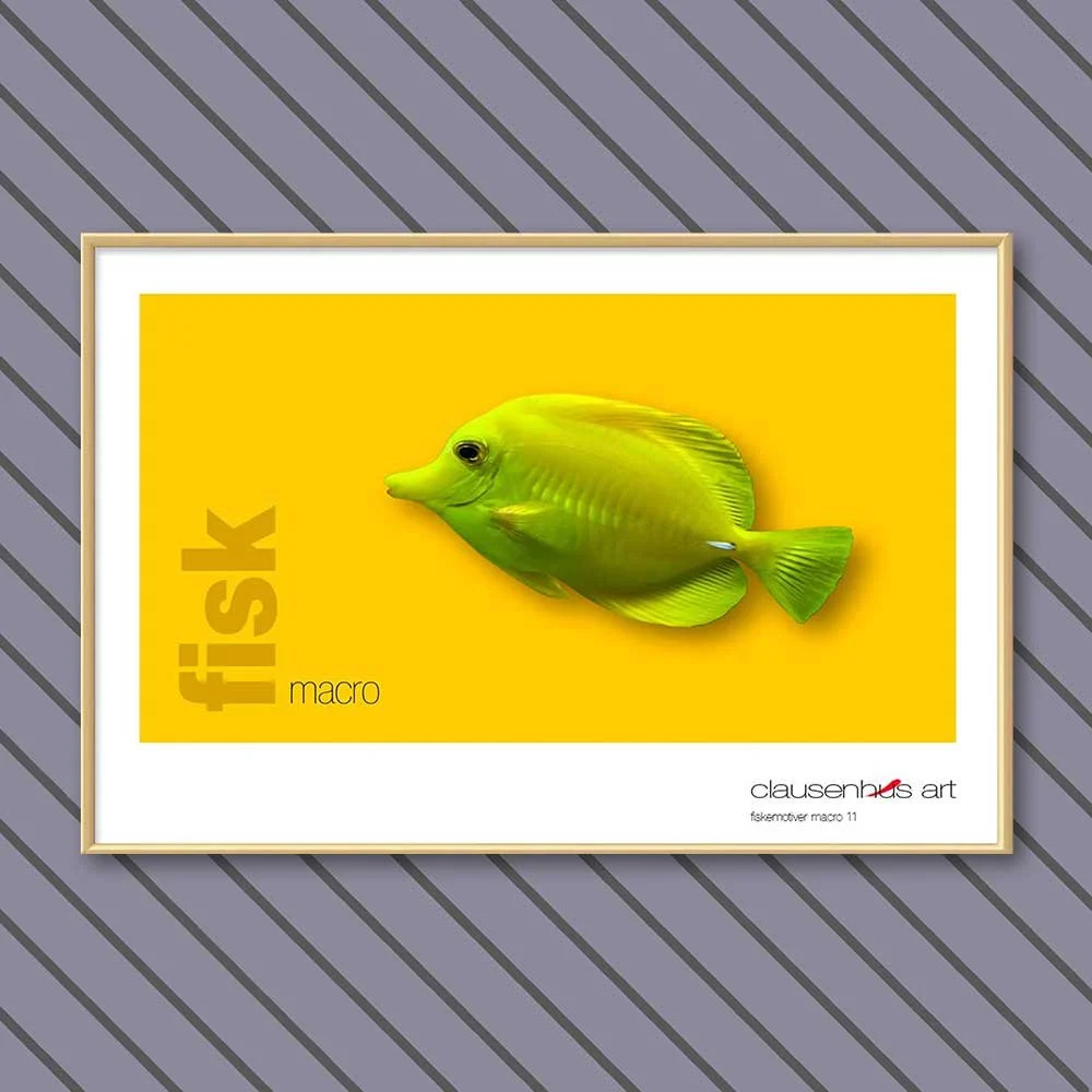 fiskemotiv-11-copy.jpg