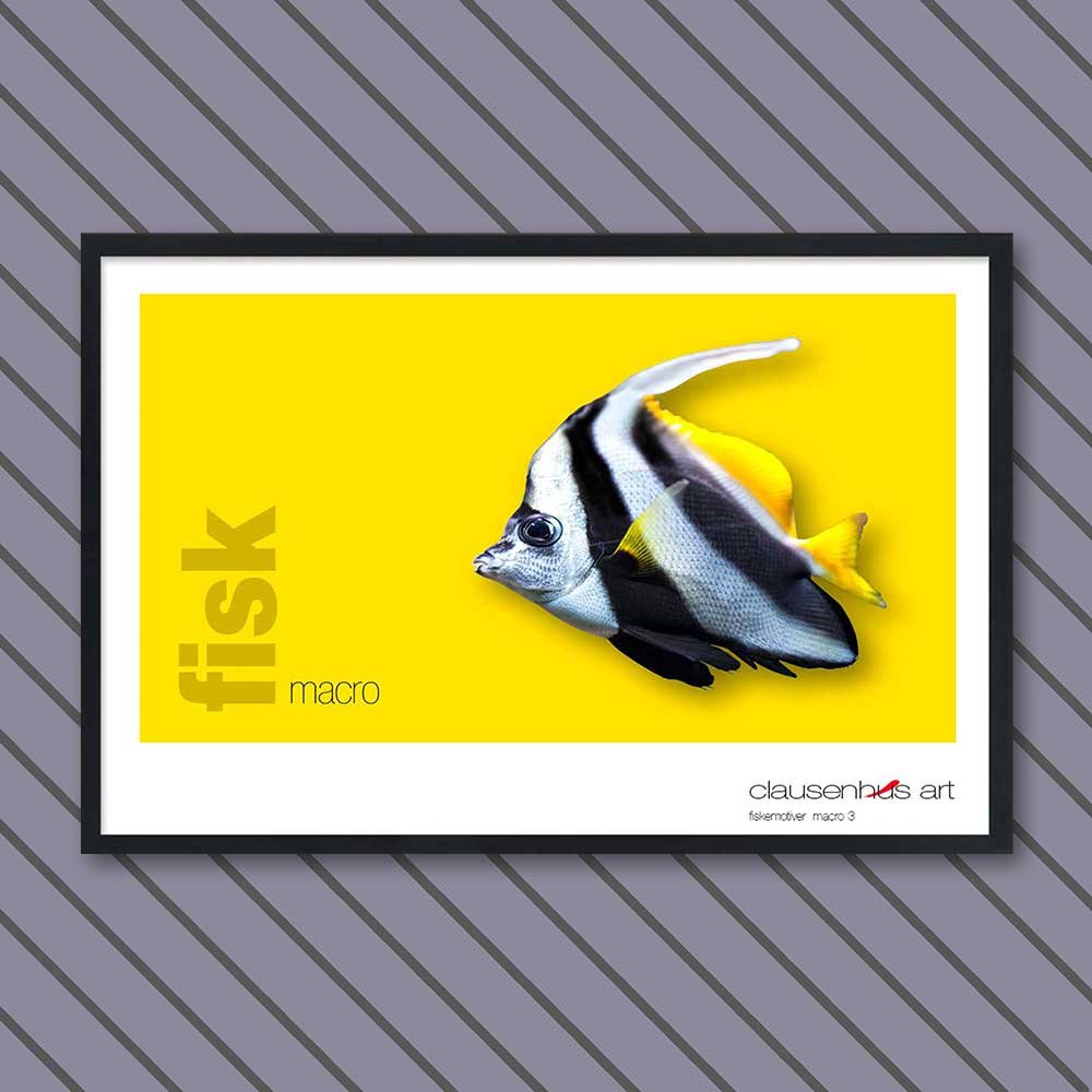 fiskemotiv-3-copy.jpg