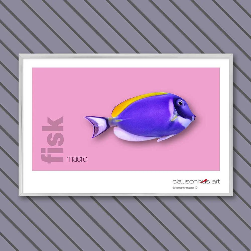 fiskemotiv-10-copy.jpg