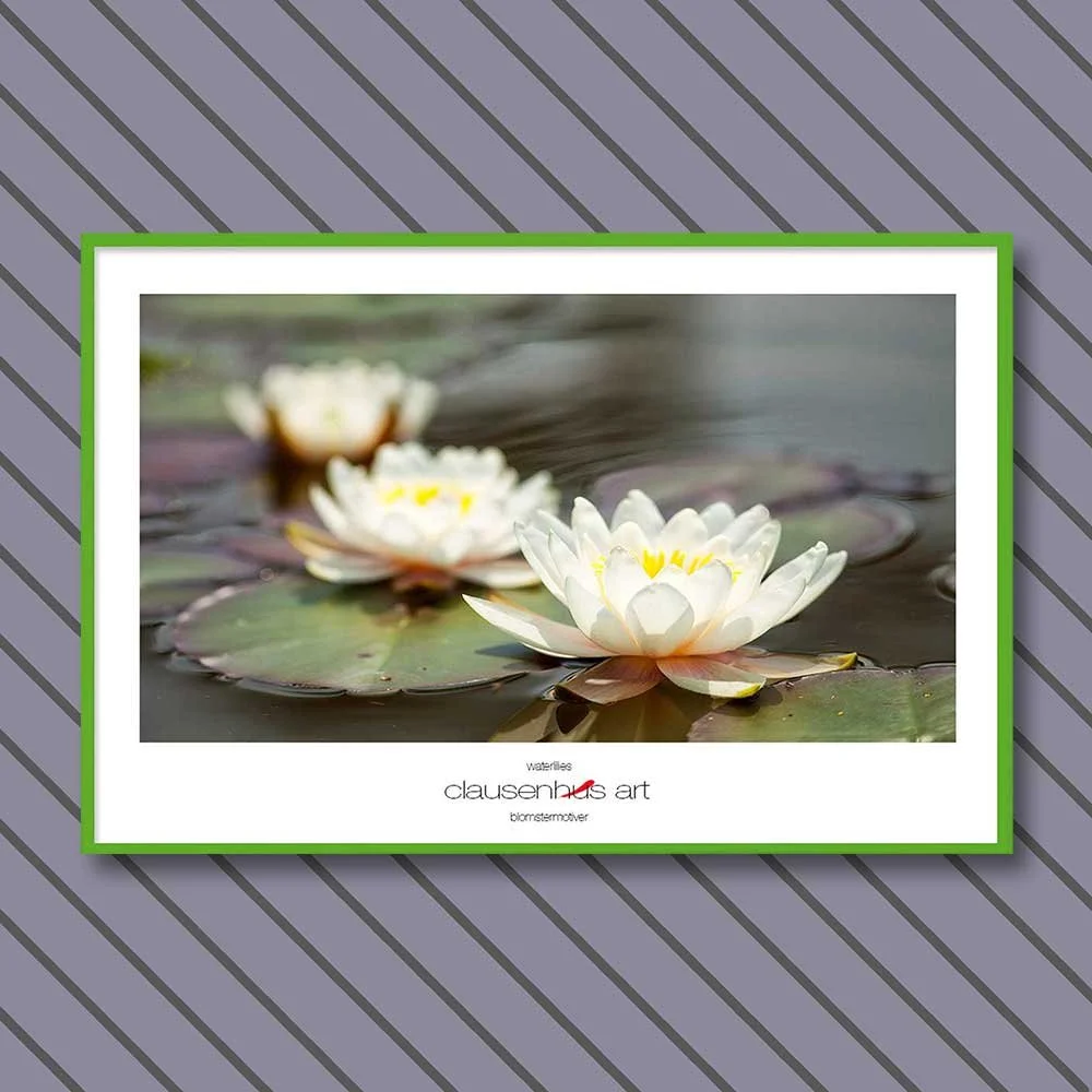 waterlilies-copy.jpg