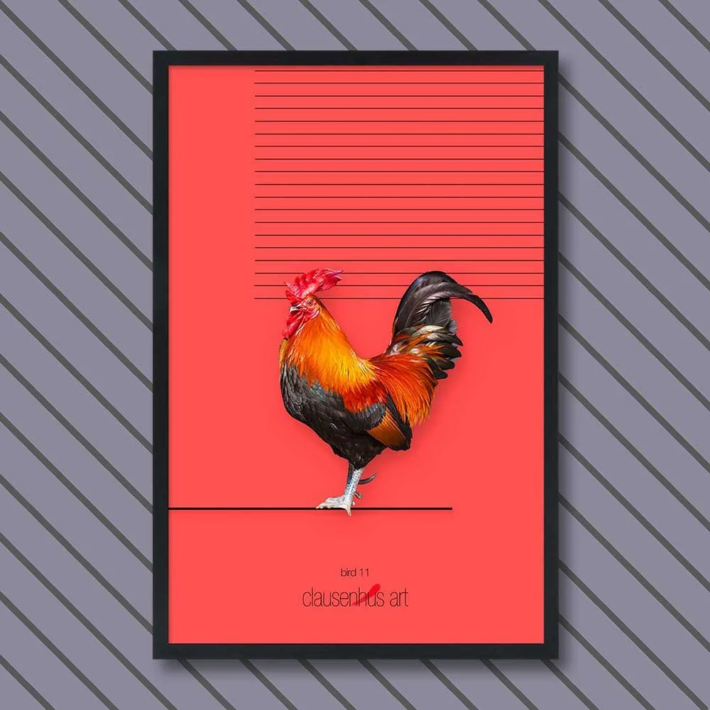 bird-11.jpg