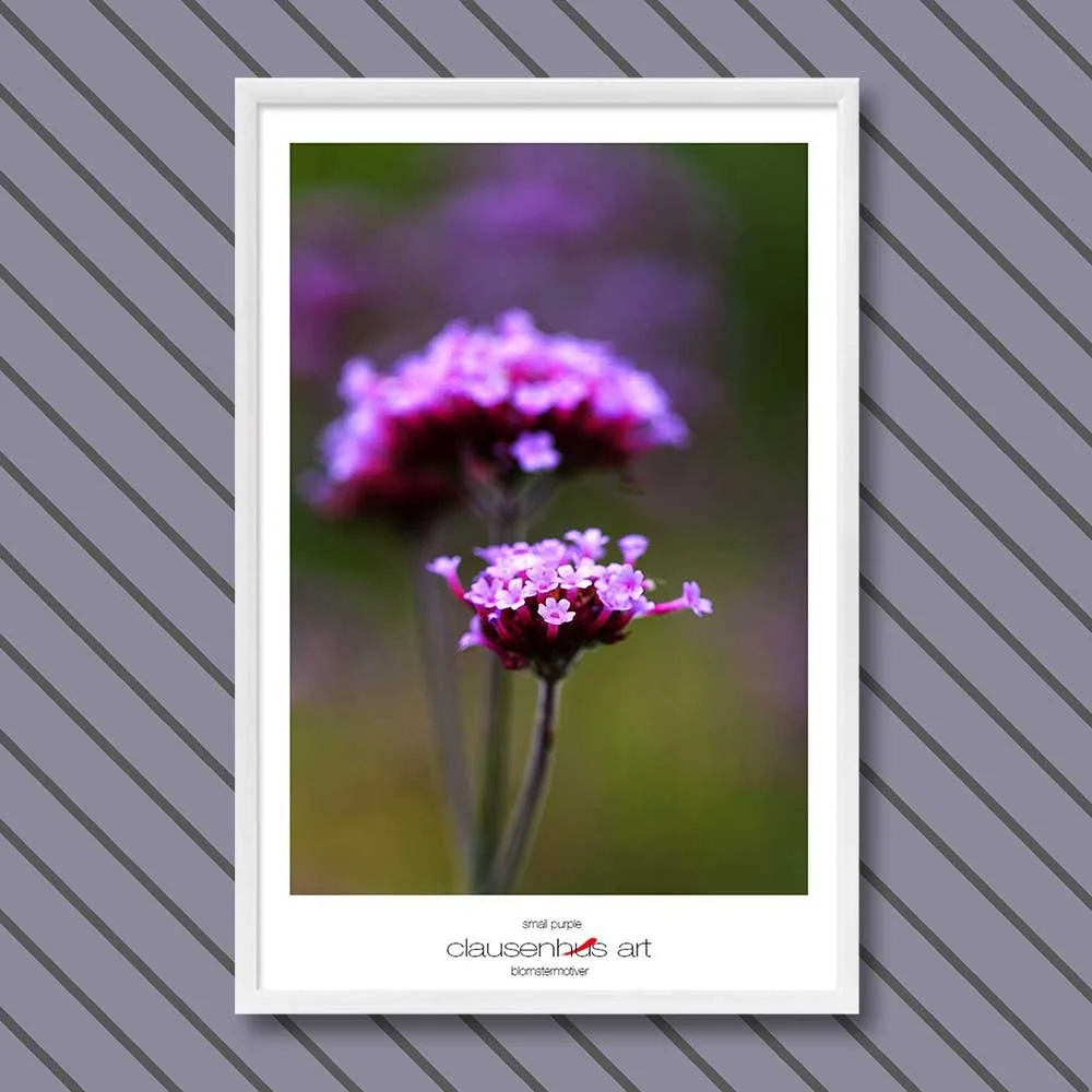 small-purple-copy.jpg