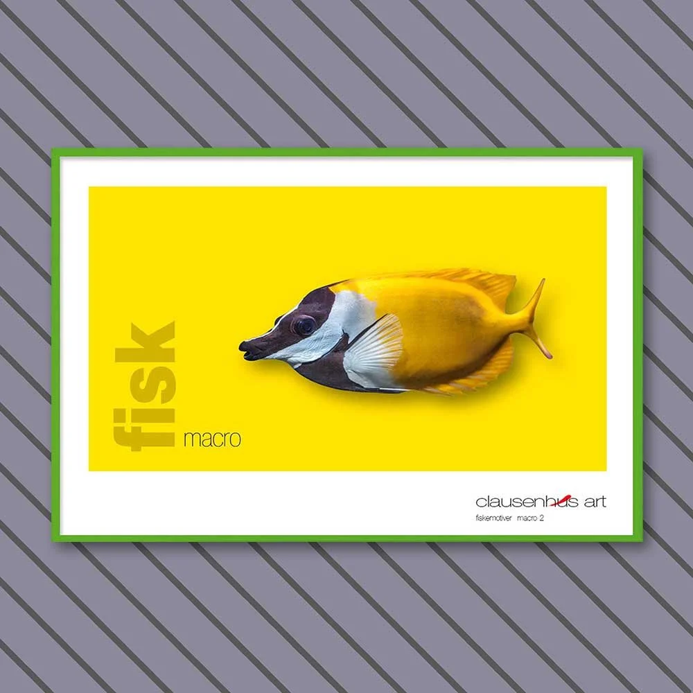 fiskemotiv-2-copy.jpg