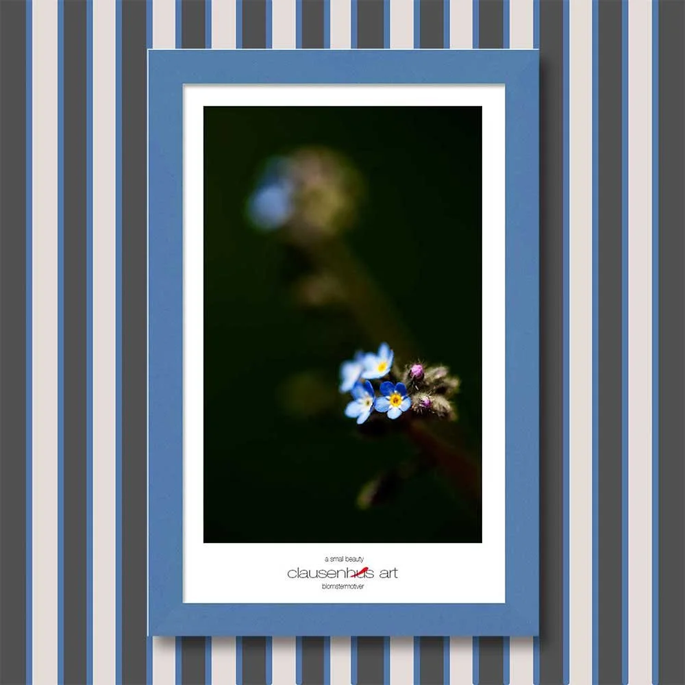 a-small-beauty-copy.jpg
