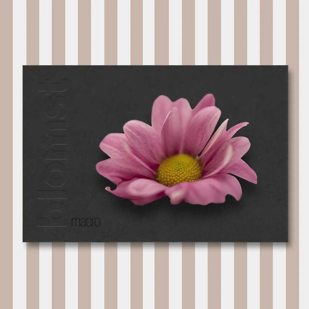 blomst-7.jpg