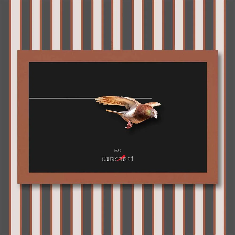 bird-5-copy.jpg