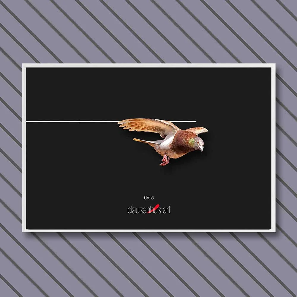 bird-5-copy.jpg