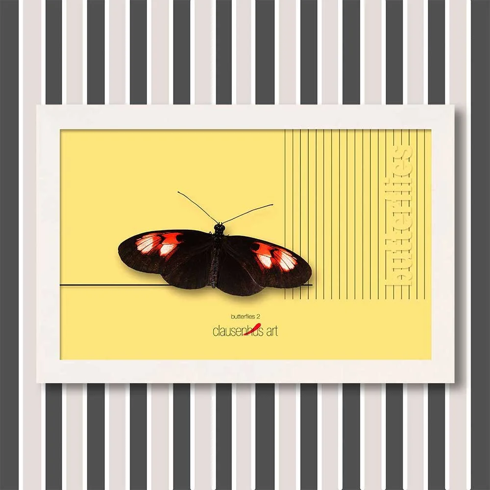 butterflies-2-copy.jpg