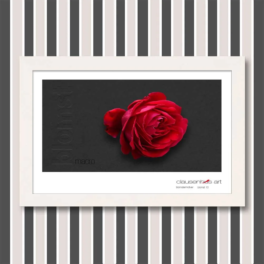 blomst-10.jpg