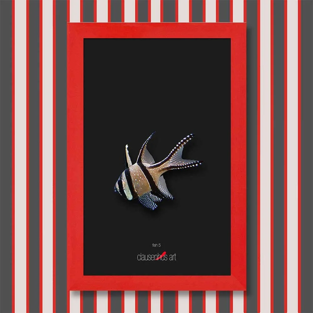 fish-5-copy.jpg