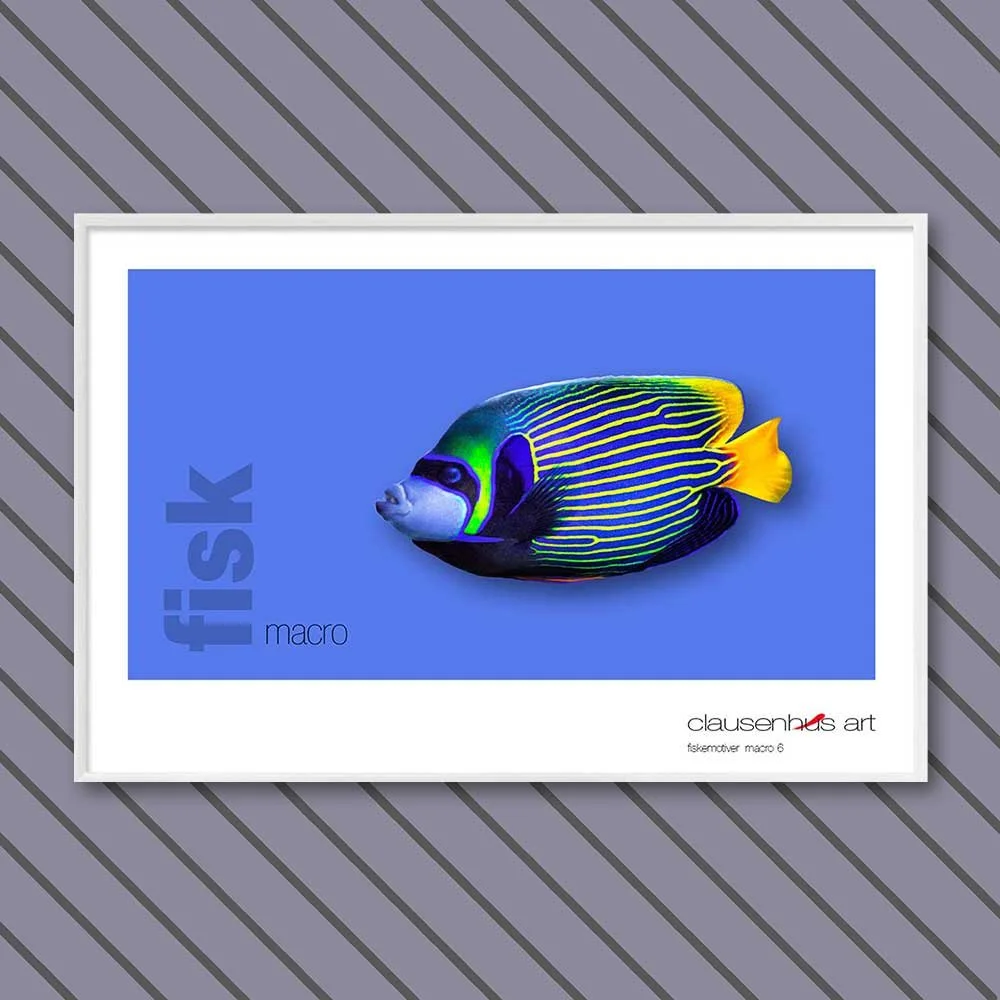 fiskemotiv-6-copy.jpg