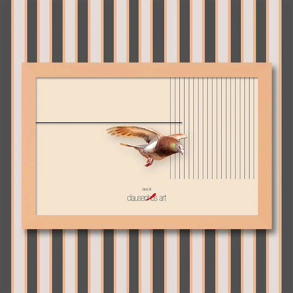bird-9-copy.jpg
