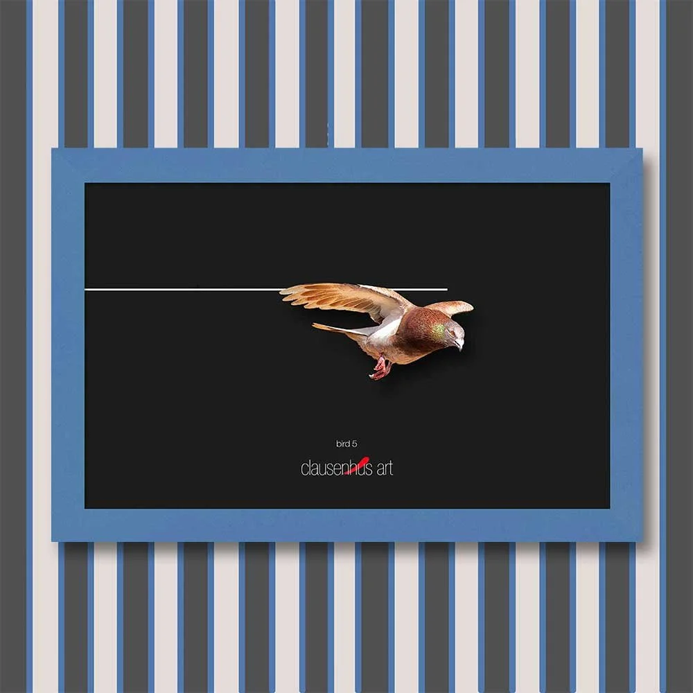 bird-5-copy.jpg