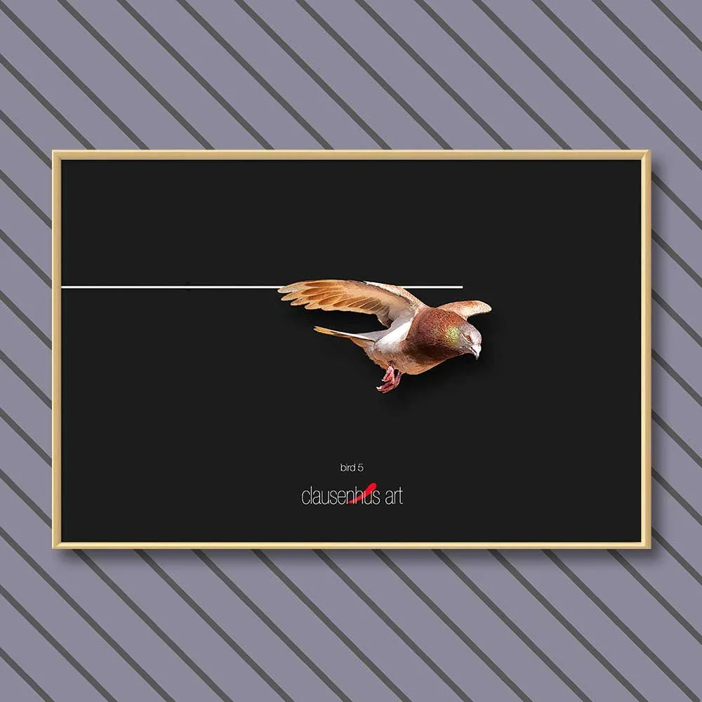bird-5-copy.jpg