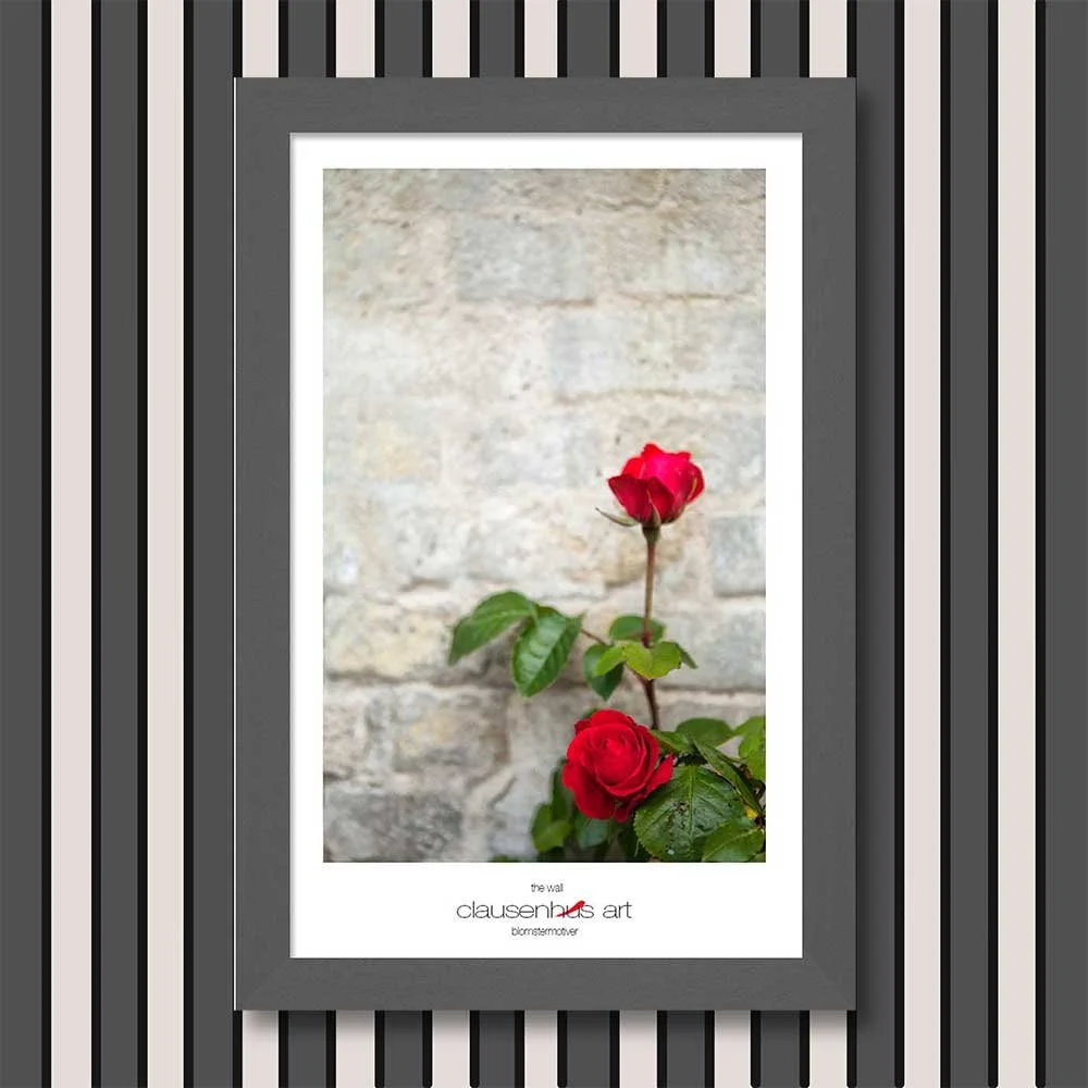 the-wall-copy.jpg