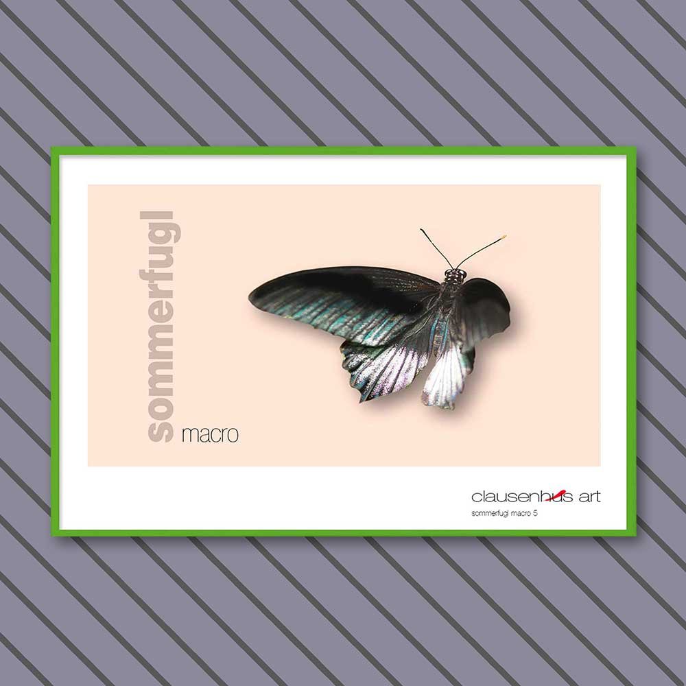 sommerfugl-5-copy.jpg