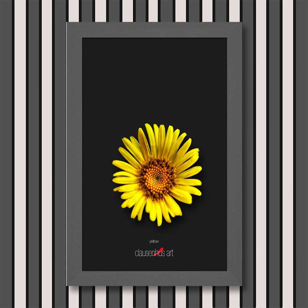 yellow-copy.jpg