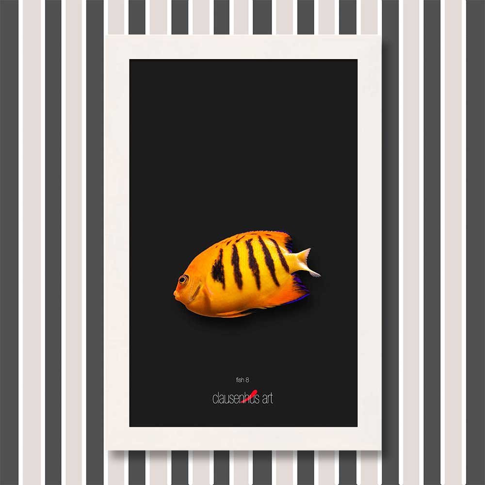 fish-8-copy.jpg