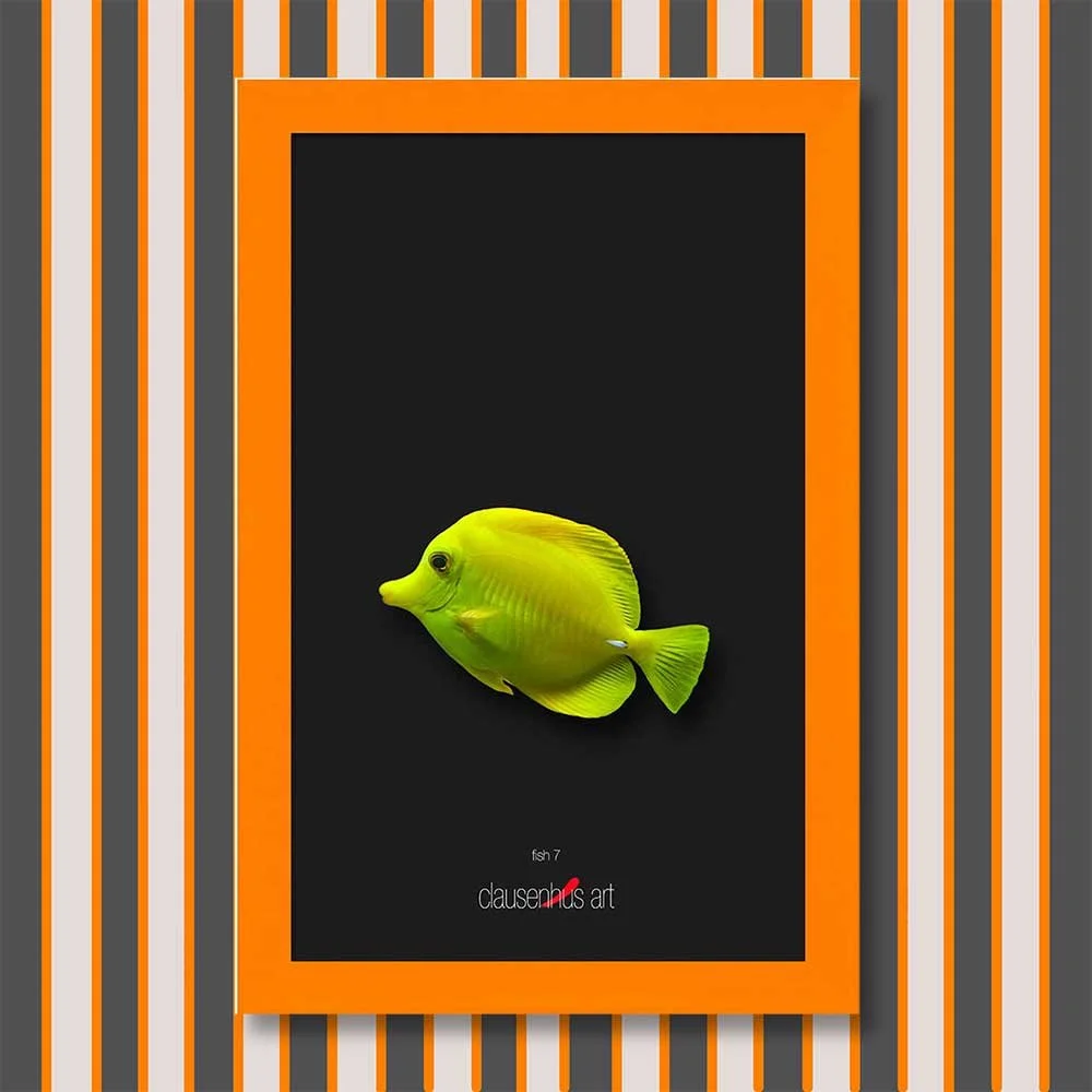 fish-7-copy.jpg
