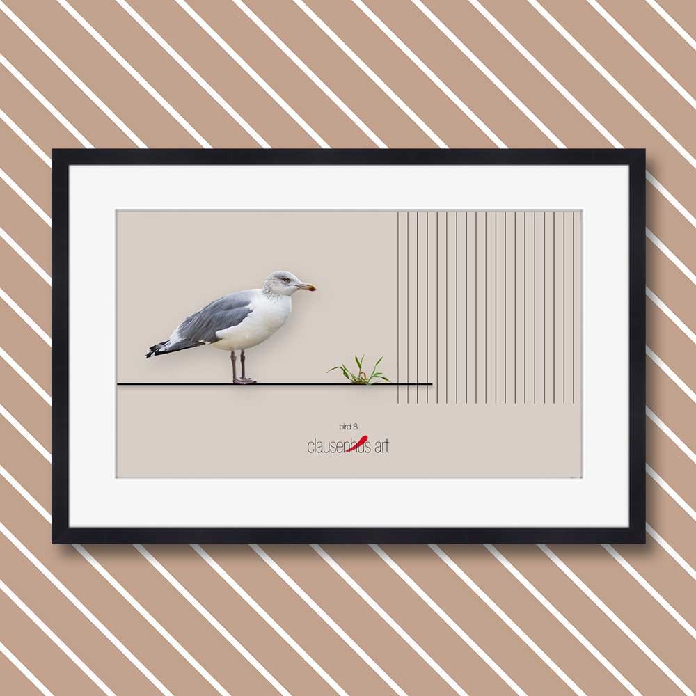 bird-8.jpg