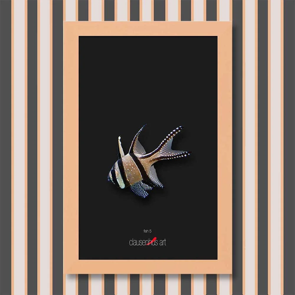 fish-5-copy.jpg