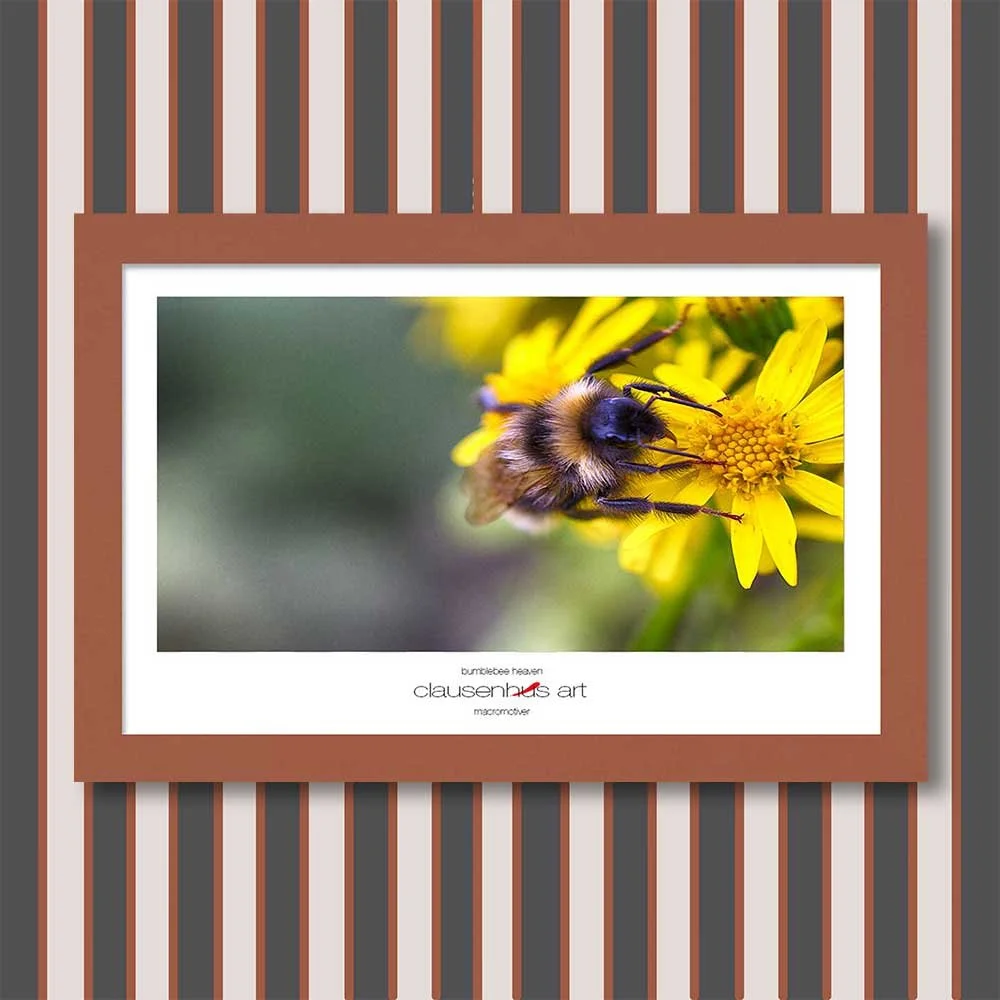 bumblebee-heaven-copy.jpg