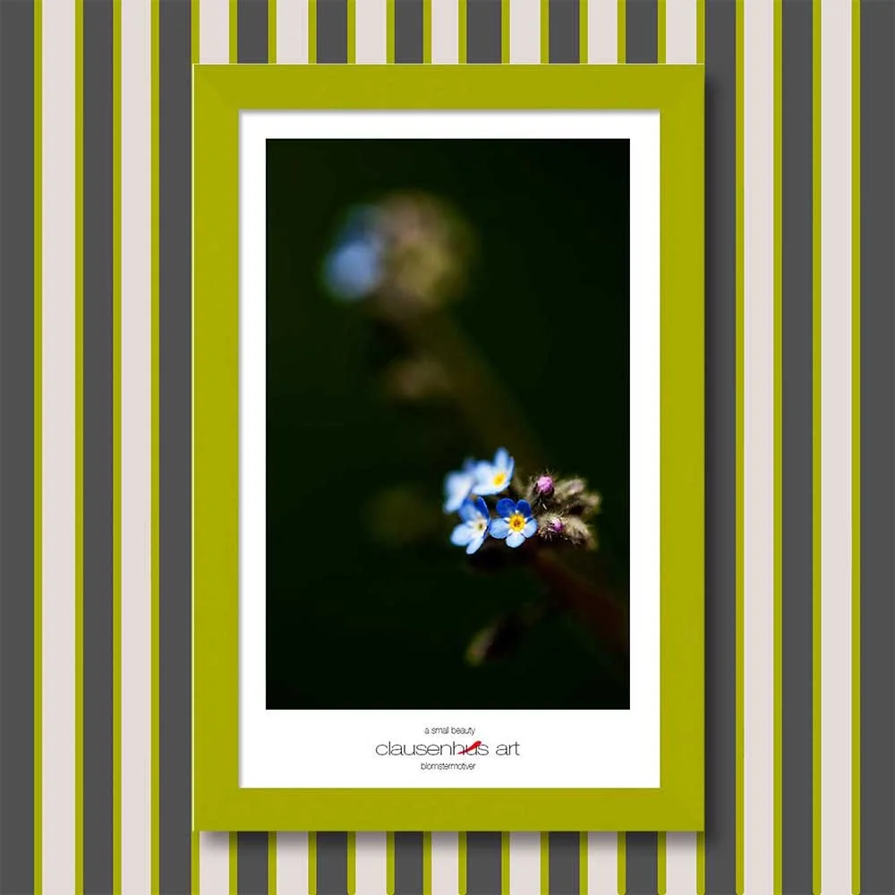 a-small-beauty-copy.jpg
