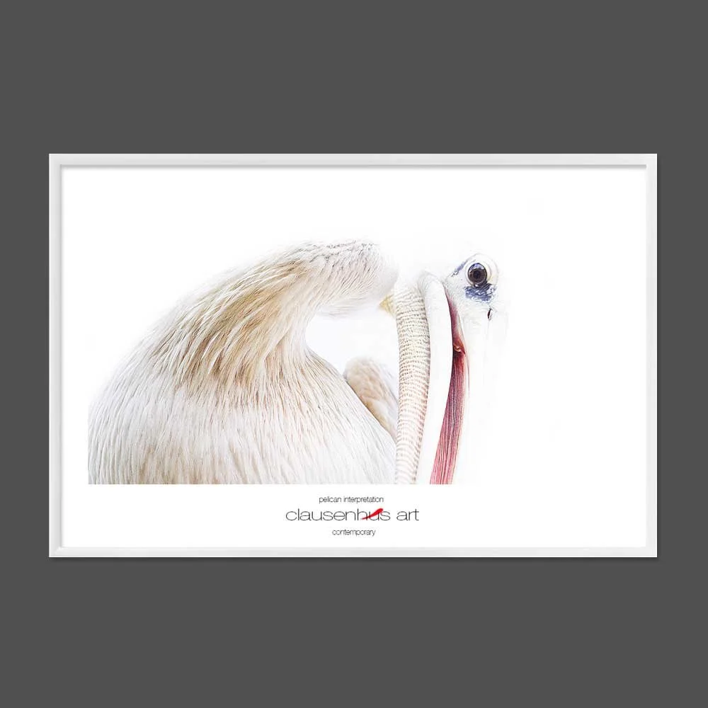 pelican-interpretation-copy.jpg