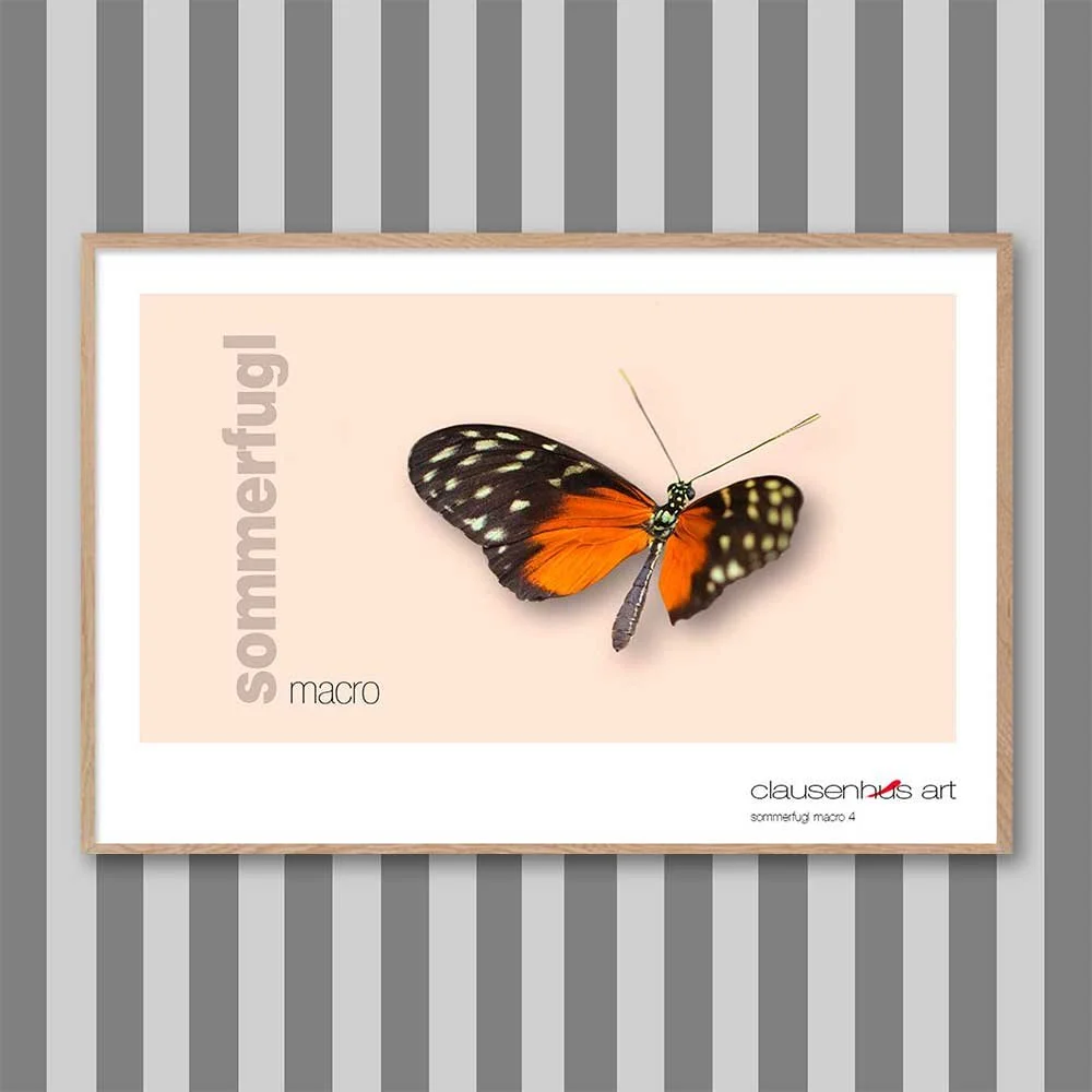 sommerfugl-4-copy.jpg