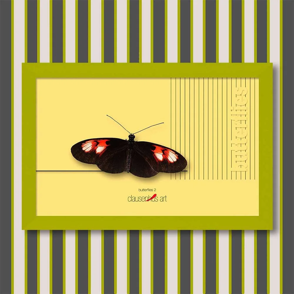 butterflies-2-copy.jpg