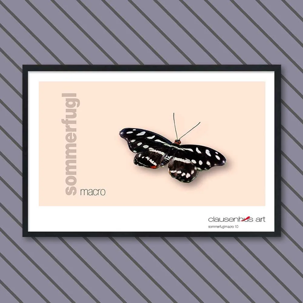 sommerfugl-10-copy.jpg